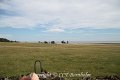 IMG_4530