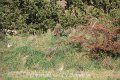 IMG_4746