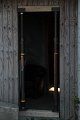 IMG_5495