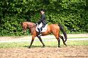 IMG_1621