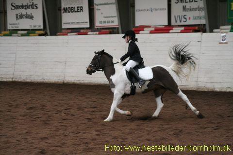 IMG_5573.JPG