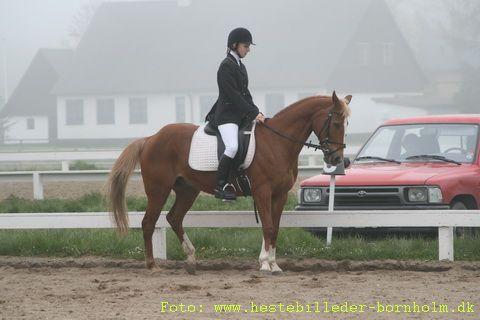 IMG_1143.JPG