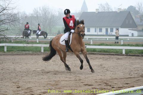 IMG_0243.JPG