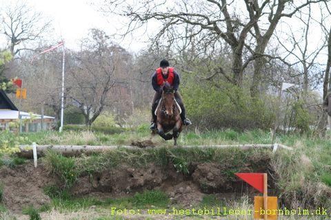 IMG_1229.JPG