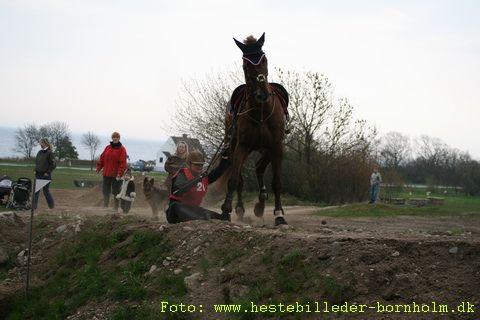 IMG_1261.JPG