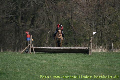 IMG_1927.JPG