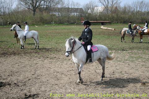 IMG_2219.JPG