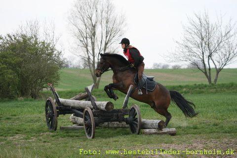 IMG_1431.JPG