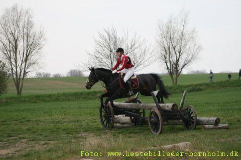 IMG_1442.JPG