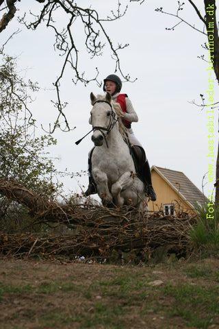 IMG_1456.JPG