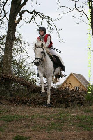 IMG_1457.JPG