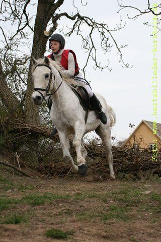 IMG_1458.JPG
