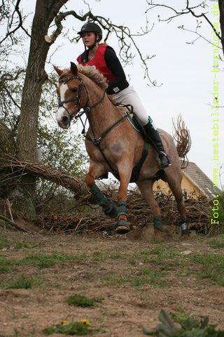 IMG_1471.JPG