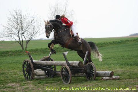 IMG_1476.JPG