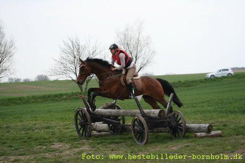 IMG_1492.JPG