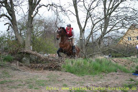 IMG_1496.JPG