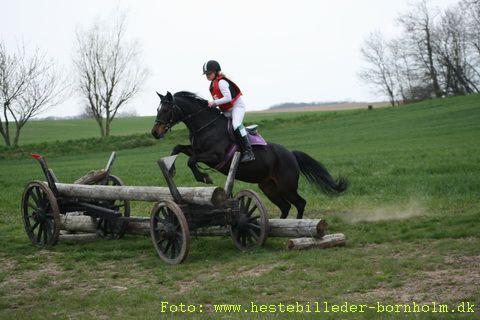 IMG_1547.JPG