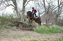 IMG_1515
