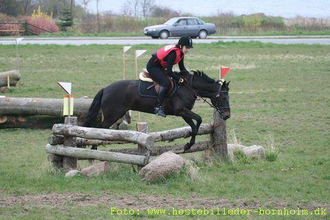 IMG_1349.JPG