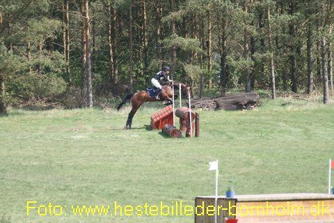 IMG_3187.JPG