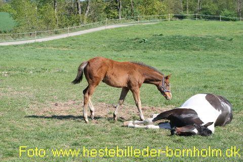IMG_5017.JPG