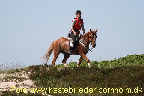 IMG_9825.JPG