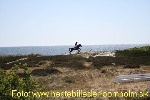 IMG_0642.JPG