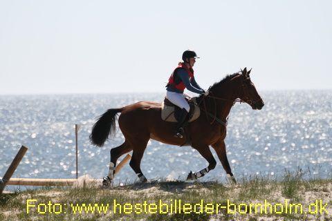 IMG_0773.JPG