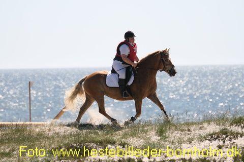 IMG_0793.JPG