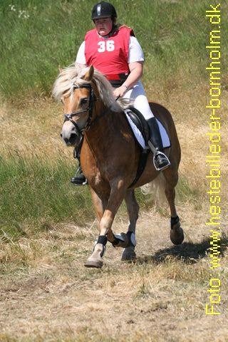 IMG_0803.JPG
