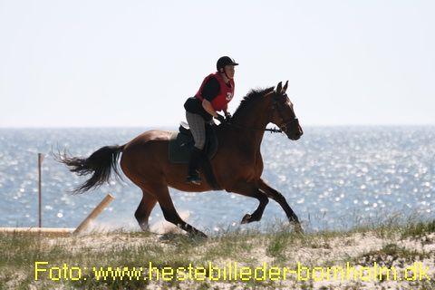 IMG_0821.JPG