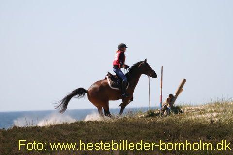 IMG_0264.JPG