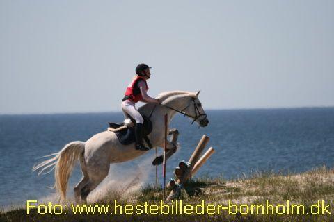 IMG_0296.JPG