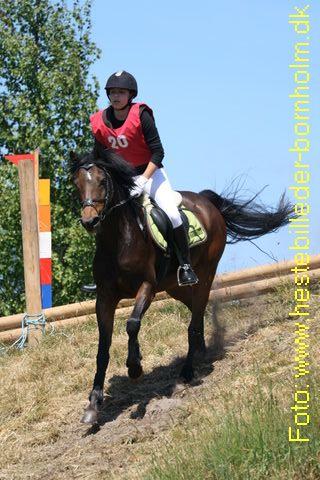 IMG_0371.JPG