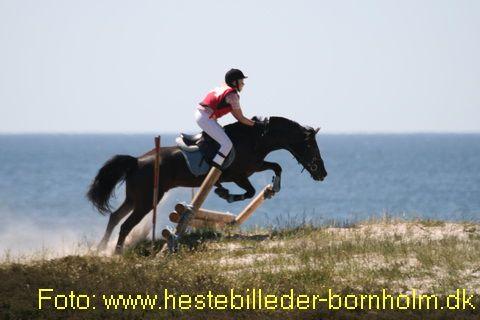 IMG_0418.JPG
