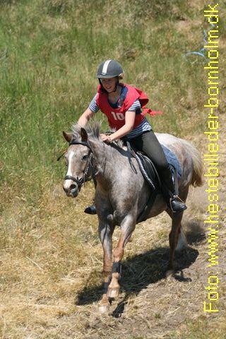 IMG_0436.JPG