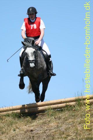 IMG_0446.JPG
