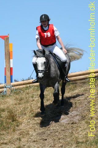 IMG_0448.JPG