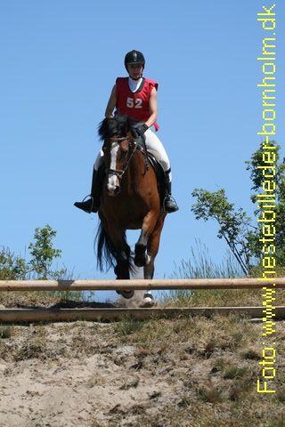 IMG_0146.JPG