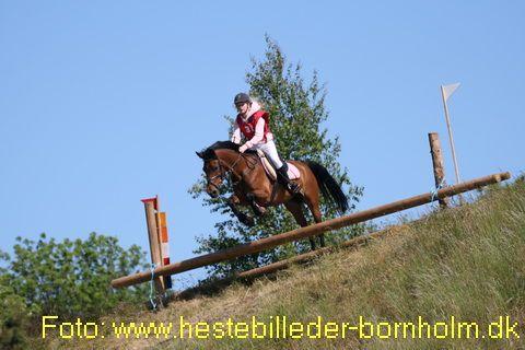 IMG_9864.JPG