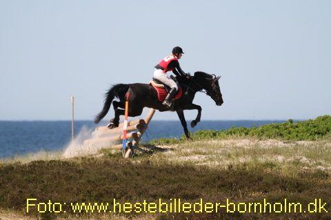 IMG_9903.JPG