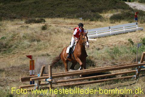 IMG_9968.JPG