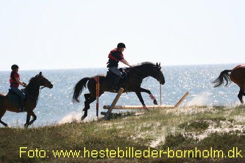IMG_0850.JPG