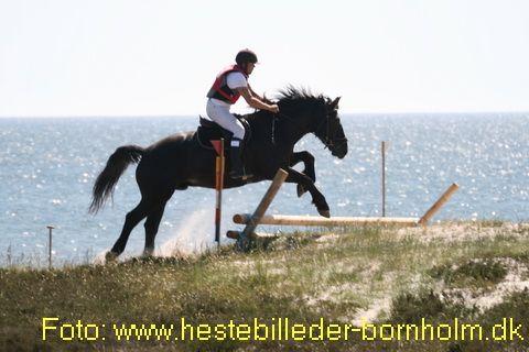 IMG_0884.JPG