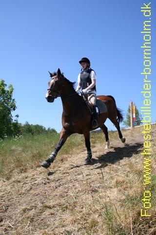 IMG_0916.JPG