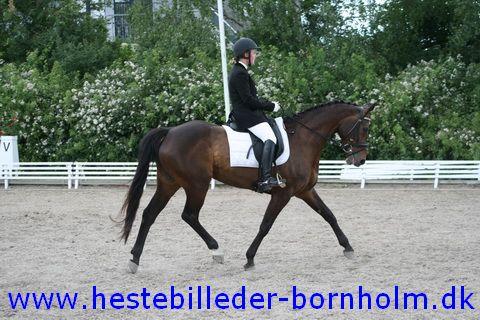 IMG_1719.JPG