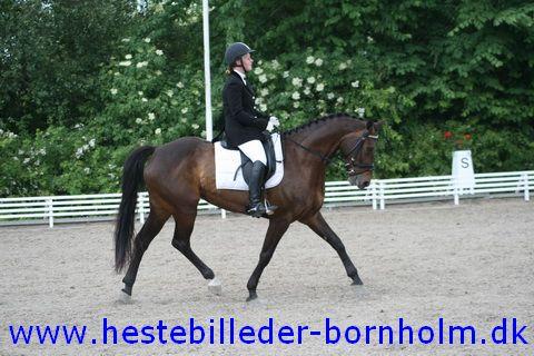 IMG_1731.JPG