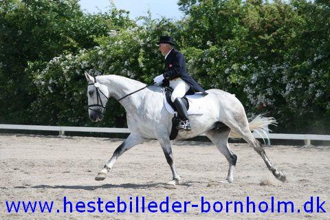 IMG_1880.JPG