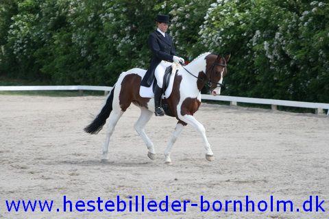 IMG_1893.JPG