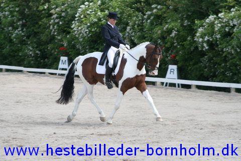 IMG_1894.JPG